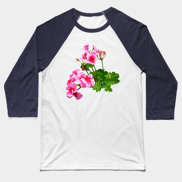 Geranium Profile Baseball T-Shirt by SusanSavad